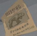 Missing pet poster, shows a Pooch with the name "Princess"